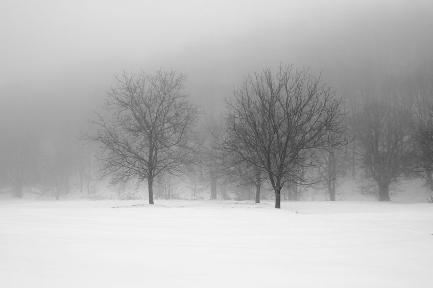 12372893 - winter landscape